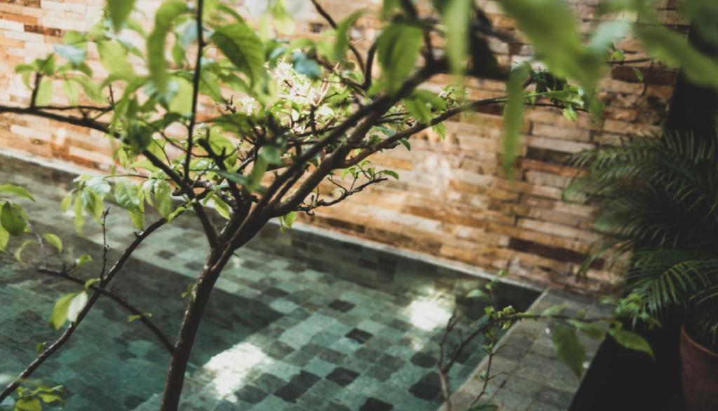 Tropical House - Villa Com Piscina Perto Do Mar Jijoca de Jericoacoara Eksteriør bilde